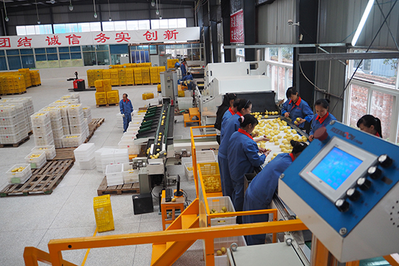 精準扶貧下初級農產品的標志性品牌打造路徑