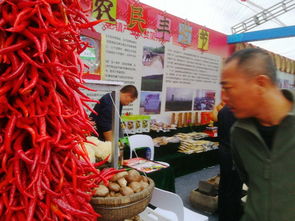 銅川2018扶貧產品交易會 初級農產品精品薈萃，看點亮眼搶先揭秘