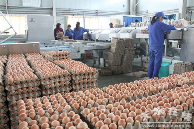 挖掘潛力，轉(zhuǎn)型升級(jí) 加快天水農(nóng)村第二產(chǎn)業(yè)發(fā)展的調(diào)查與思考